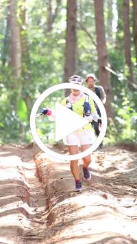 BIB:  <button type="button" onclick="openModal(26569528)" class="btn btn-primary btn-sm float-right" data-toggle="modal" data-target=".modal-high-quality">
                <i class="fa fa-download"></i> Download
                </button>